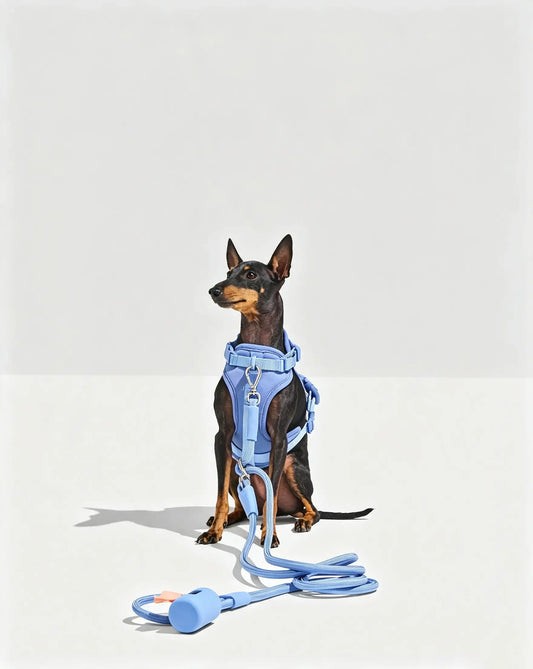 MellowTail Anywhere Rope Leash™-Moonstone