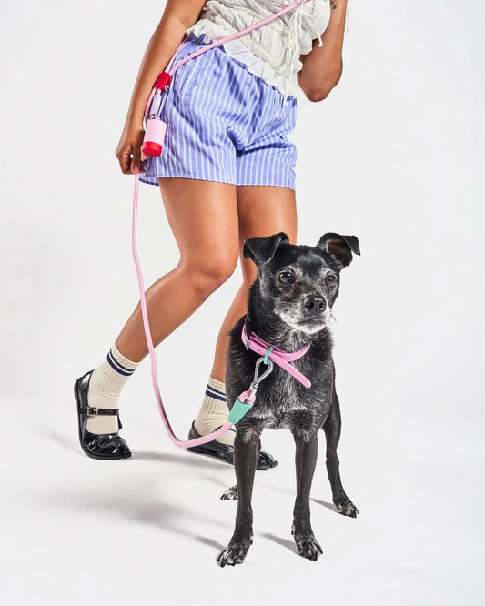 MellowTail Adventure Walk Set™