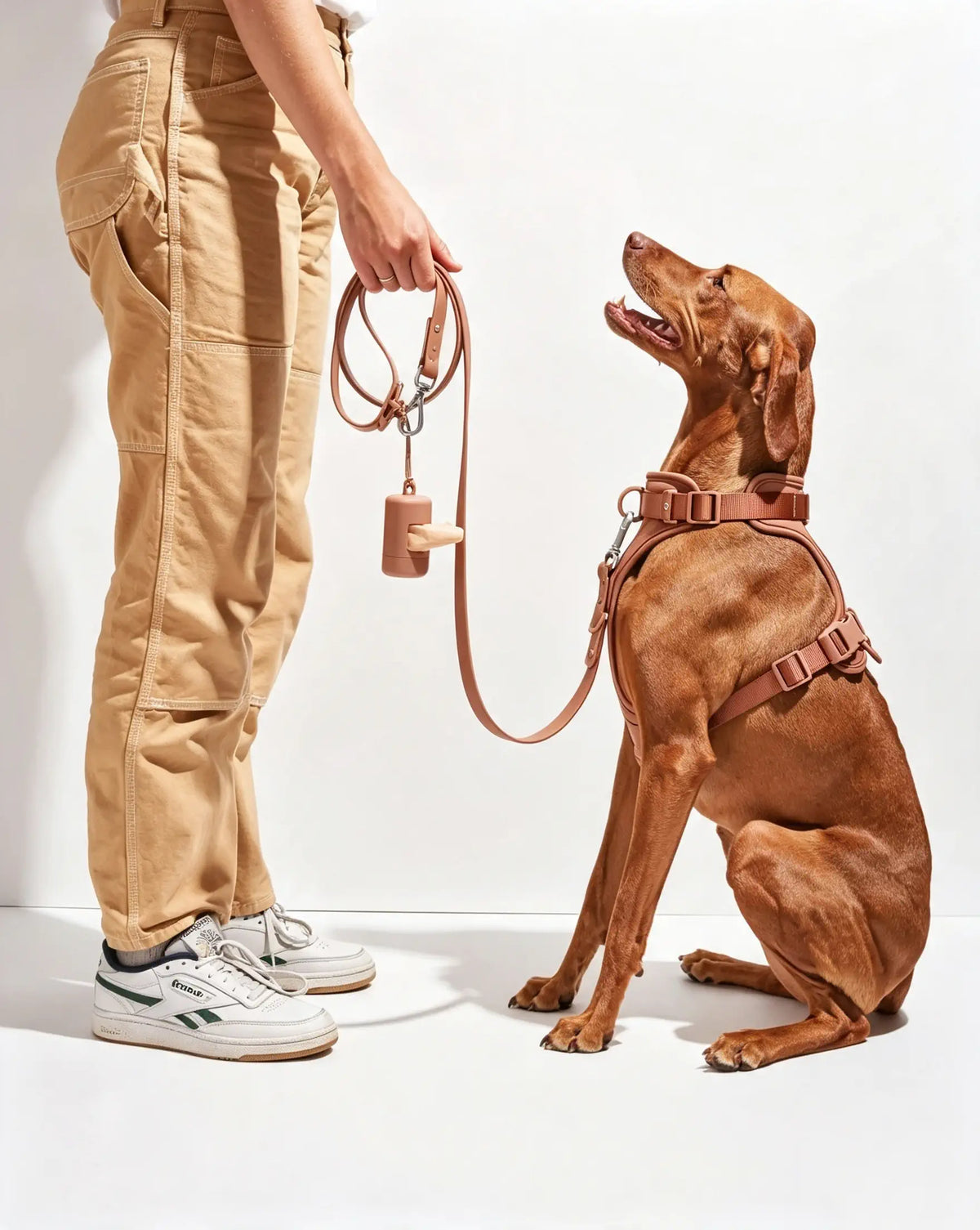 MellowTail All-Weather Everyday Leash™-Cocoa