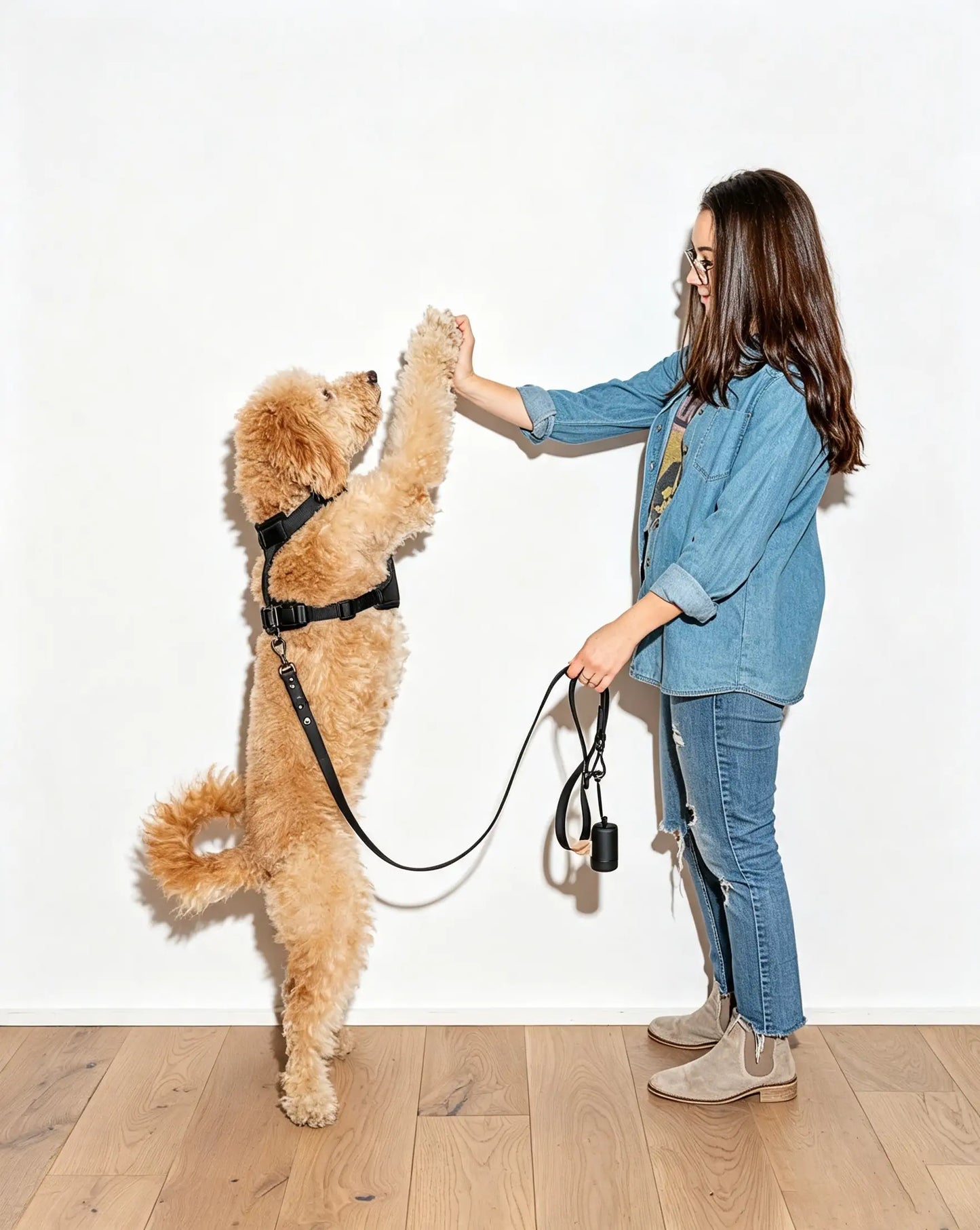 MellowTail All-Weather Everyday Leash™-Black