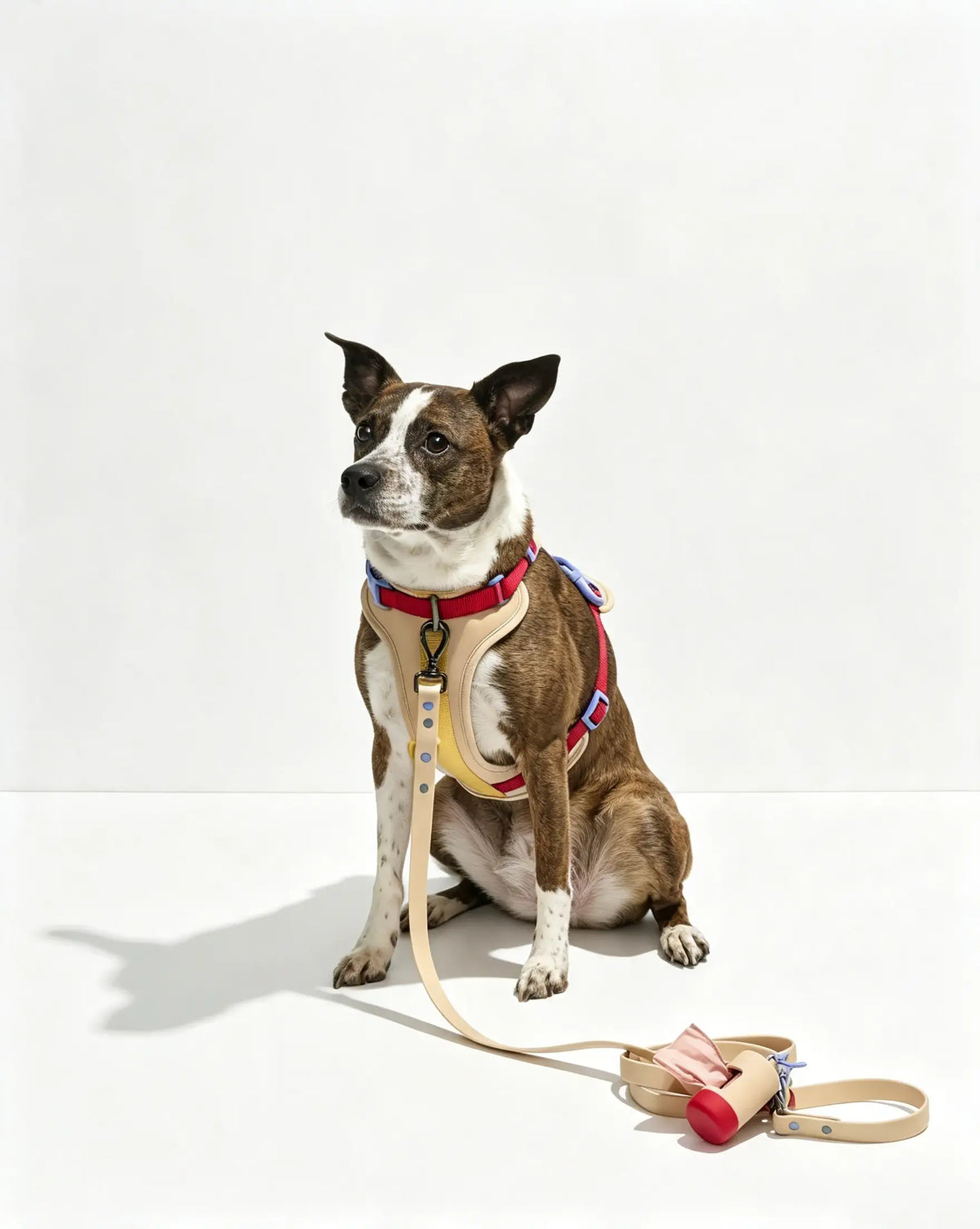 MellowTail All-Weather Everyday Leash™-Retro