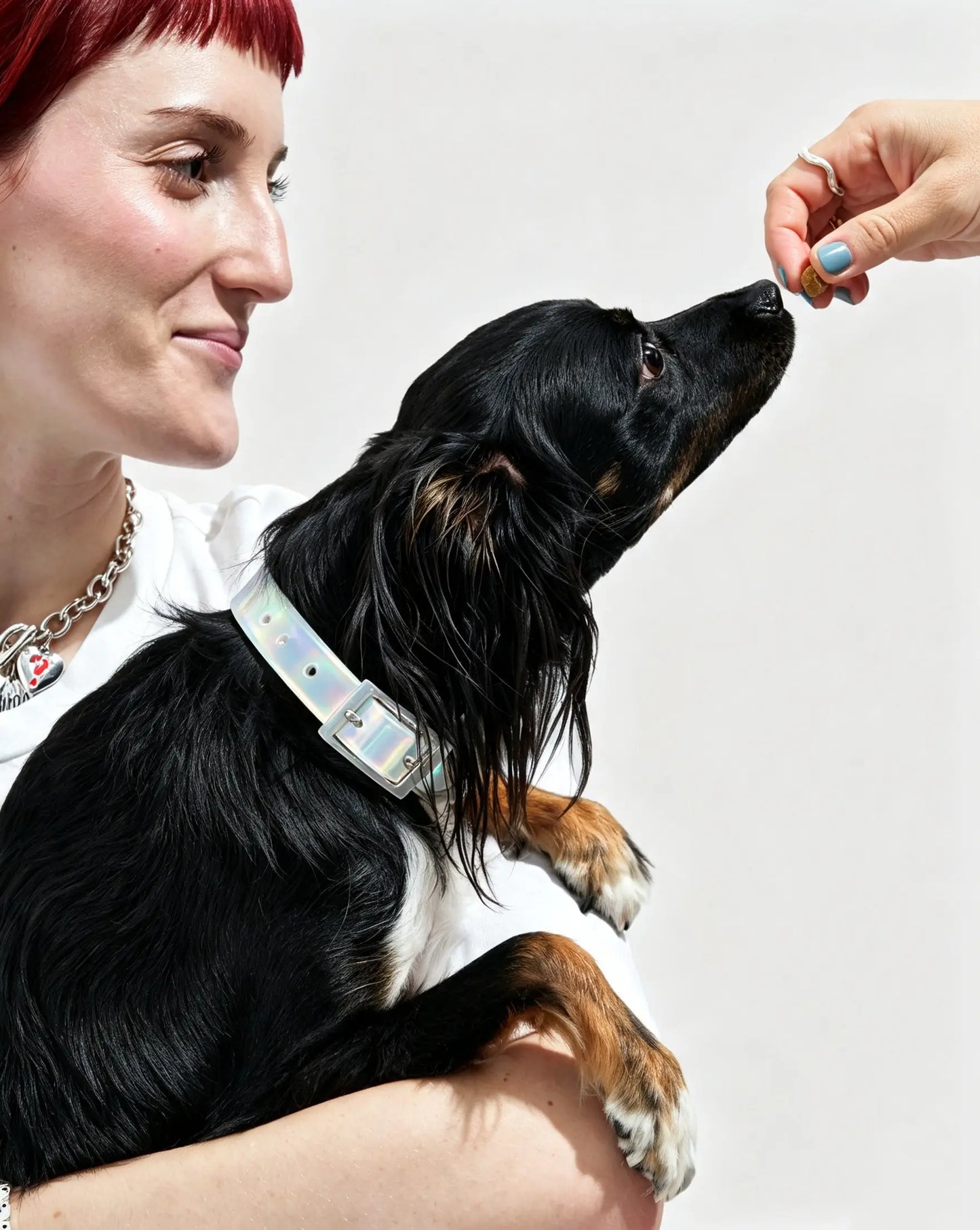 MellowTail All-Weather Everyday Collar™-Lunar ✨ Limited Edition