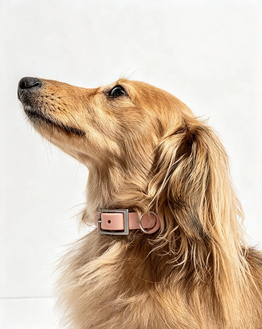 MellowTail All-Weather Everyday Collar™-Blush