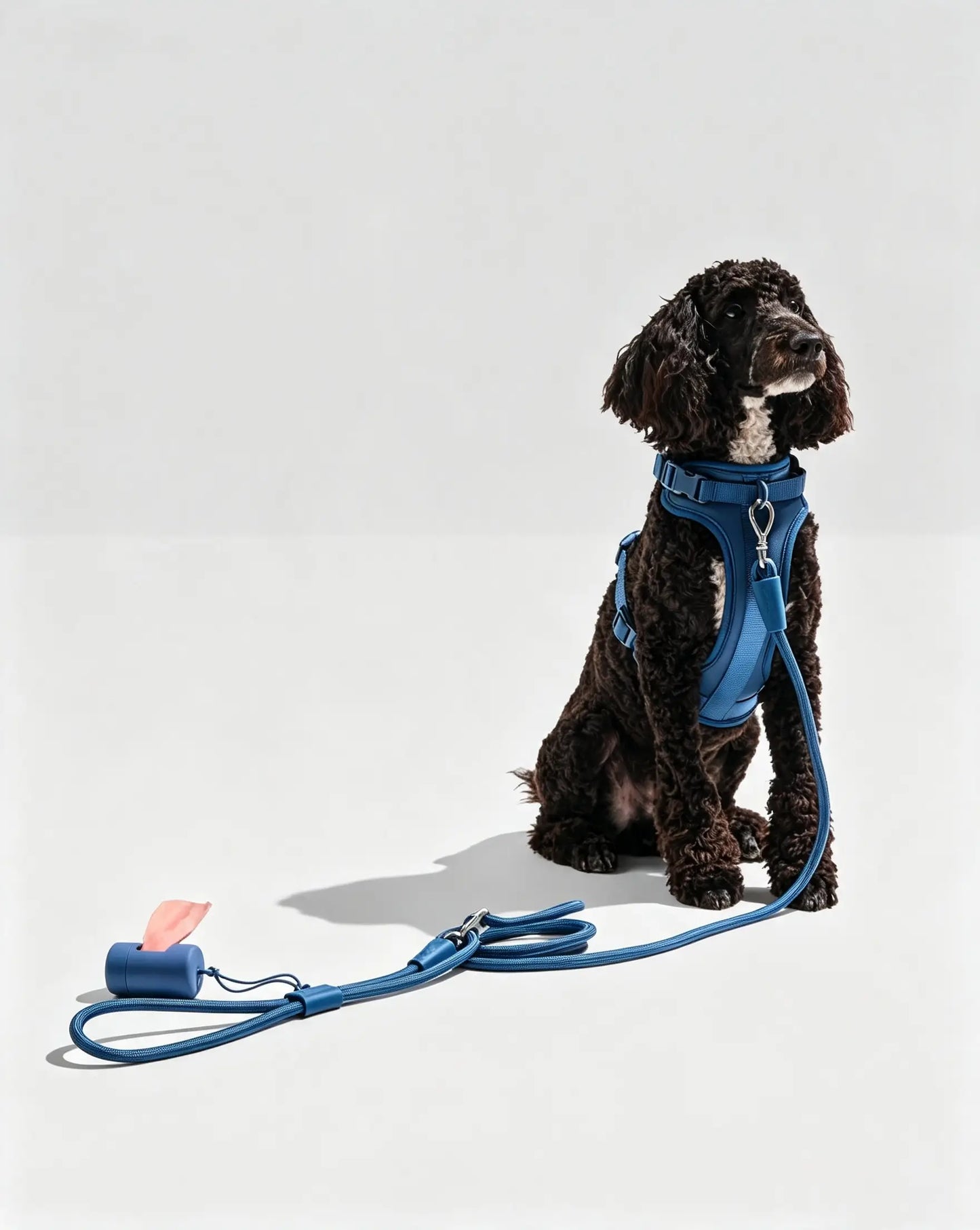 MellowTail Anywhere Rope Leash™-Navy
