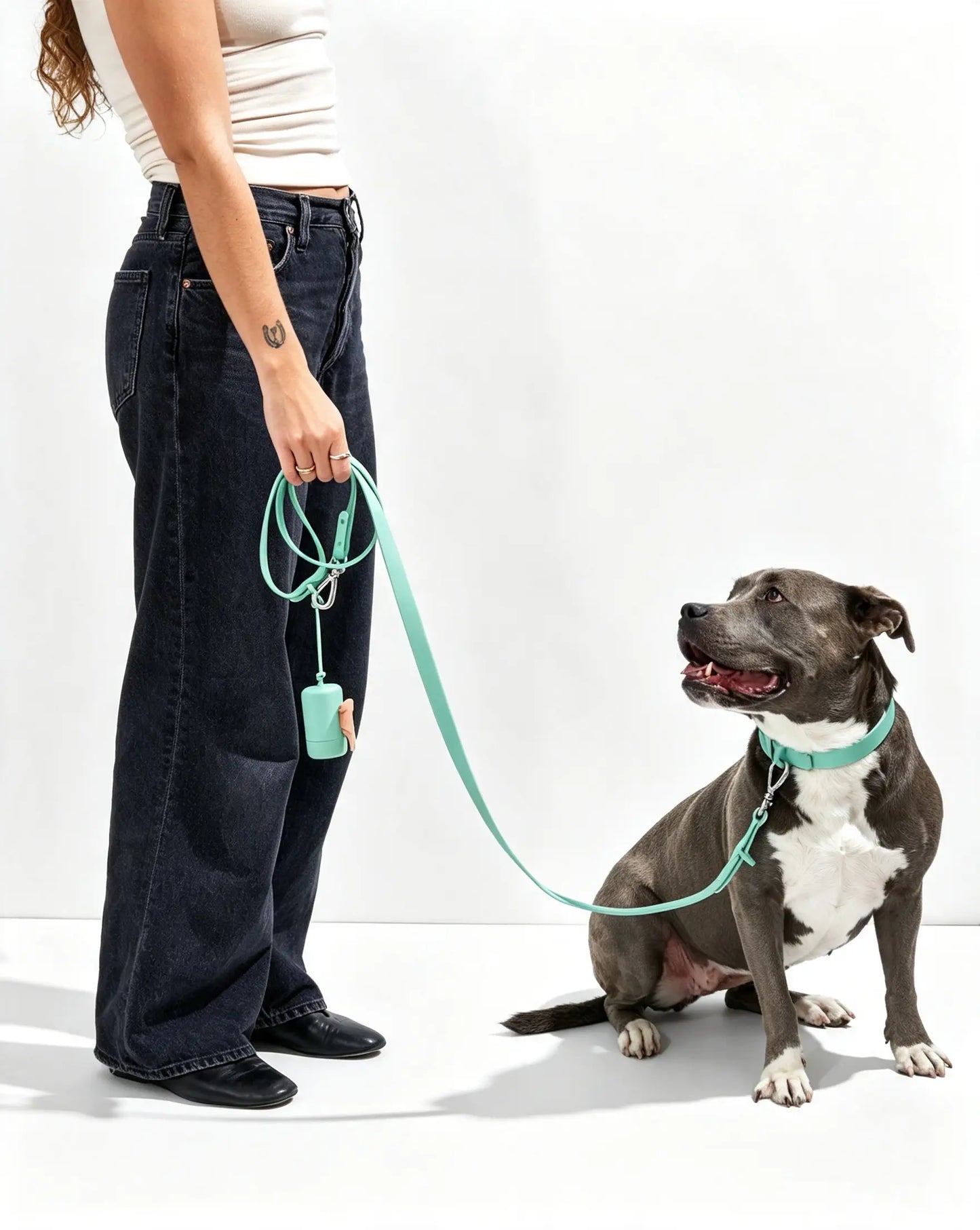 MellowTail All-Weather Everyday Collar™-Seafoam ✨ Limited Edition