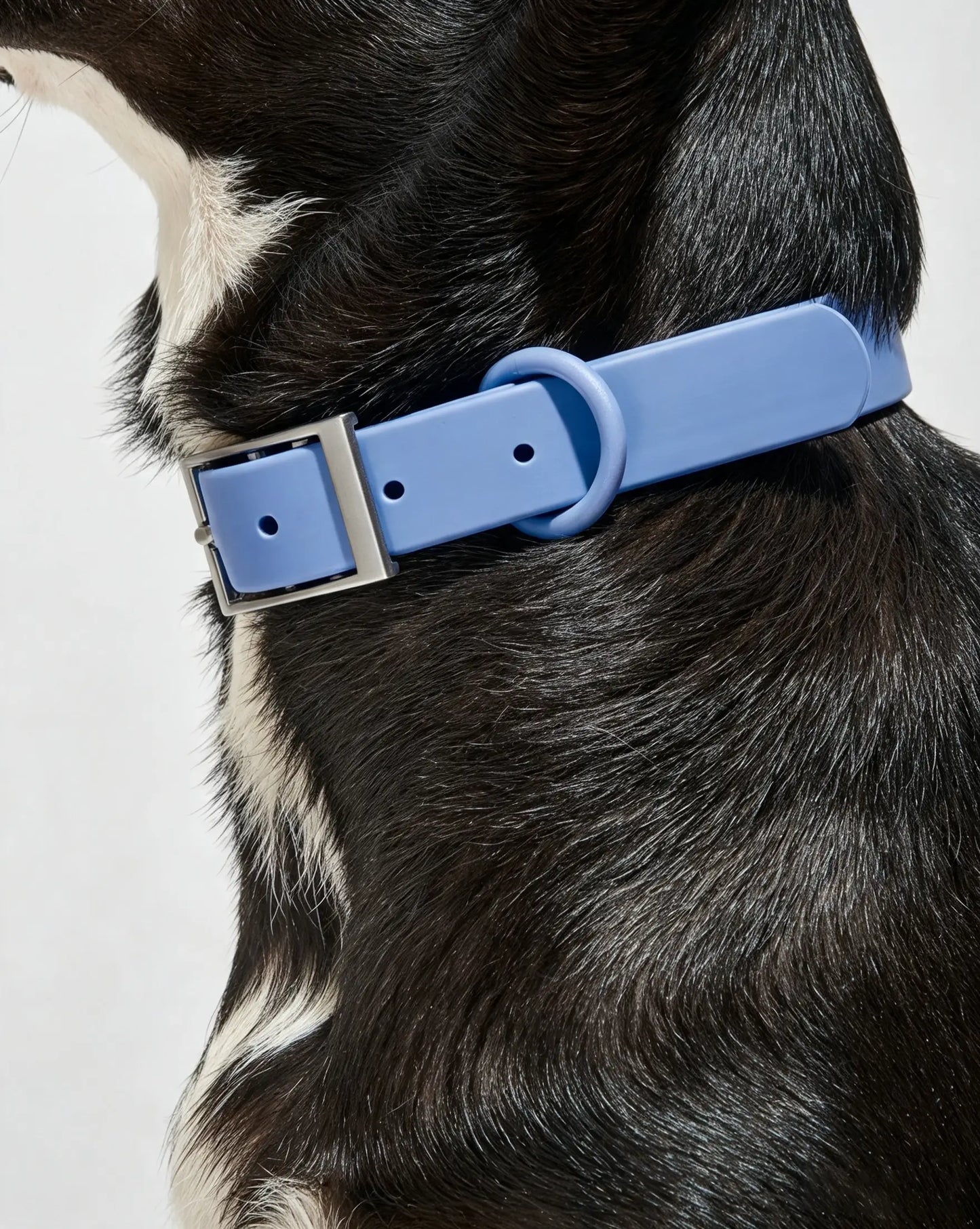 MellowTail All-Weather Everyday Collar™-Moonstone