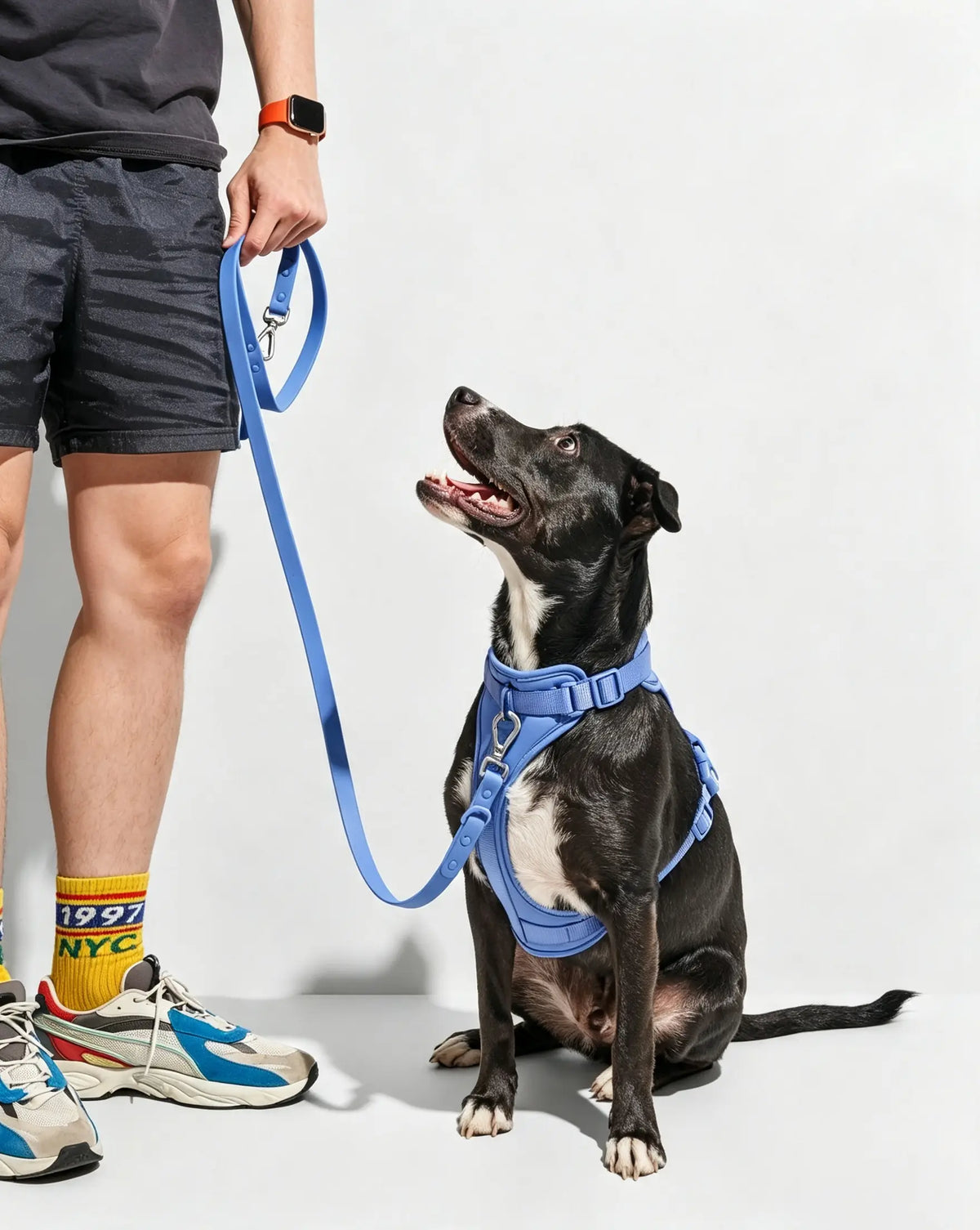 MellowTail All-Weather Everyday Leash™-Moonstone