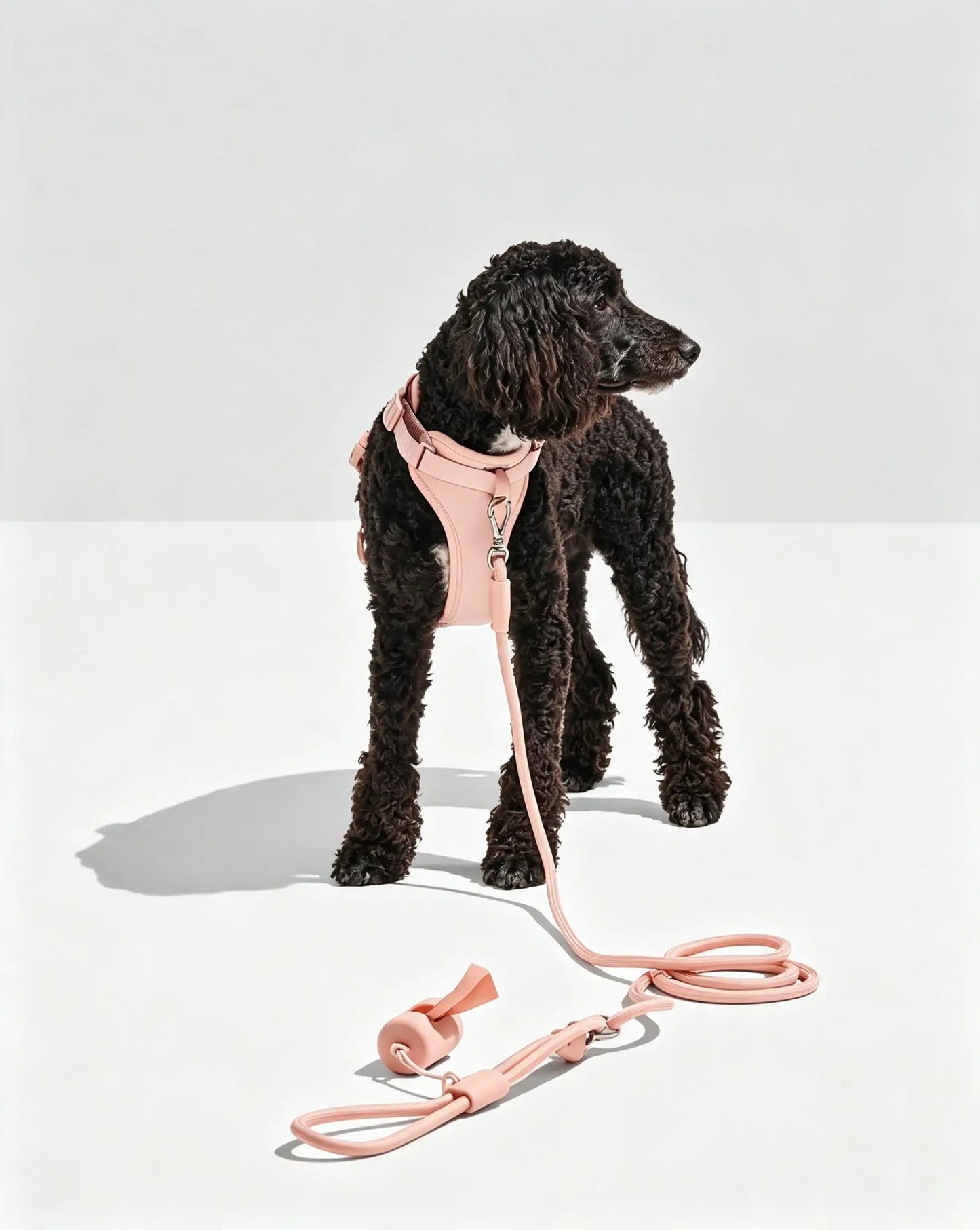 MellowTail Anywhere Rope Leash™-Blush