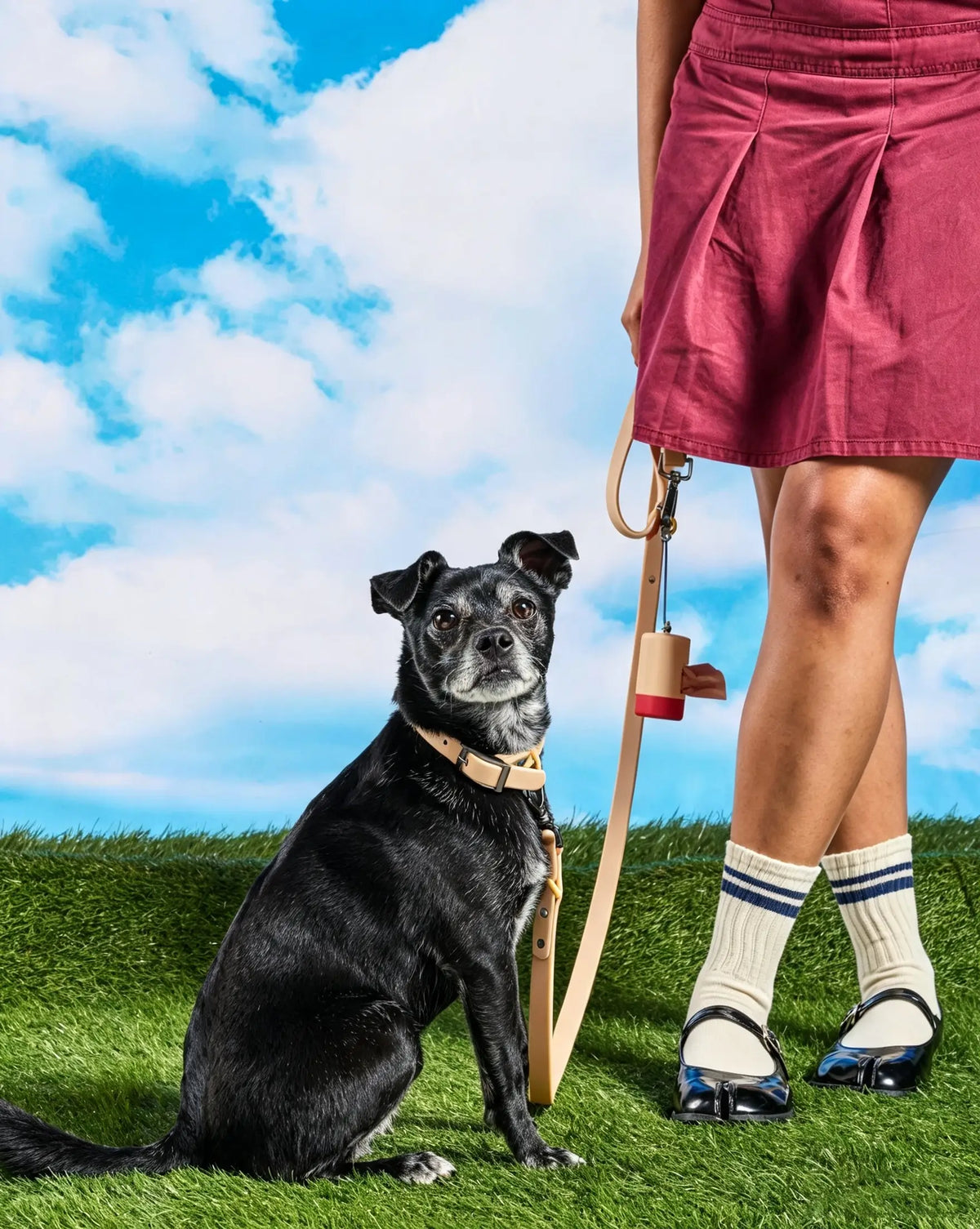 MellowTail All-Weather Everyday Collar™-Retro