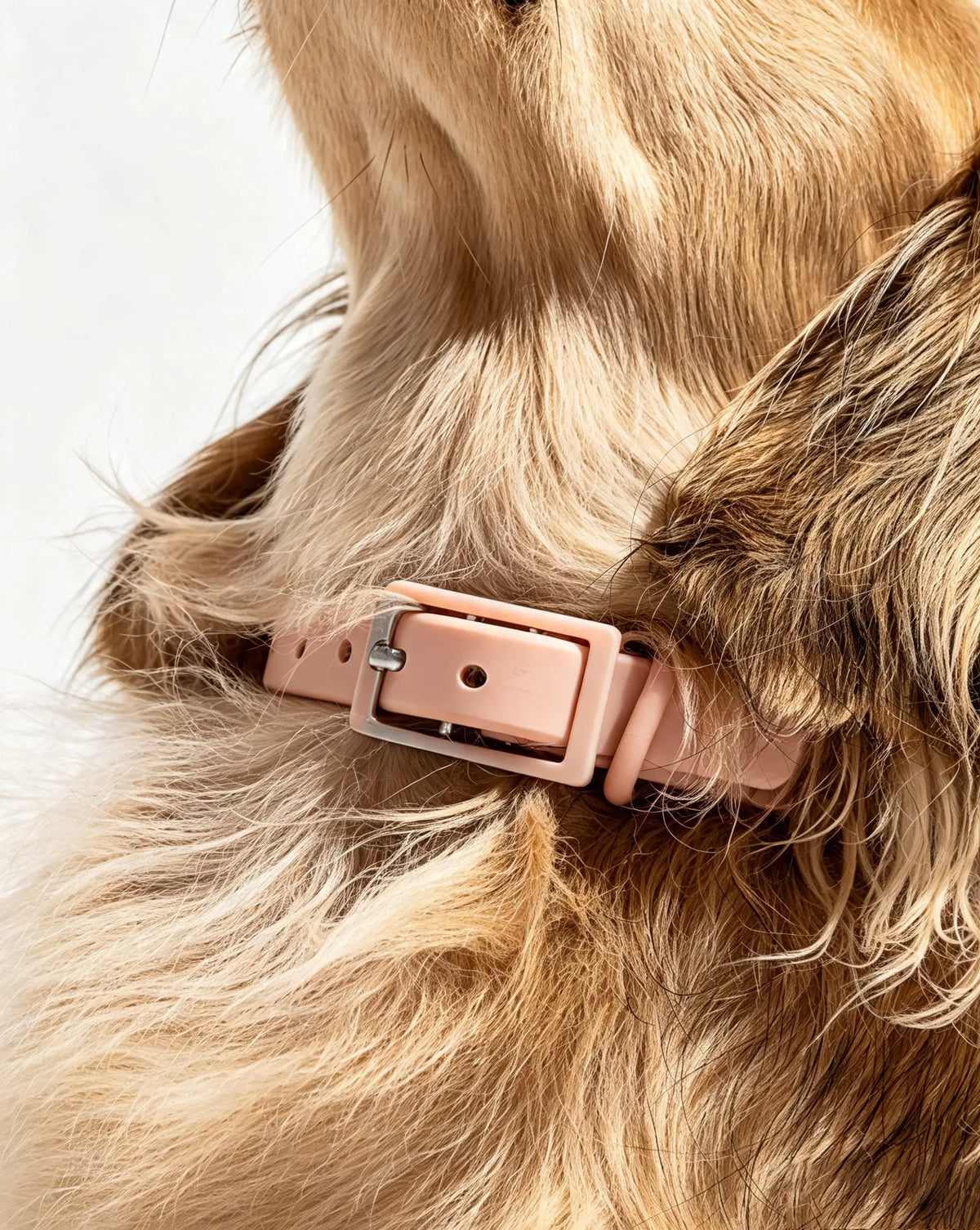 MellowTail All-Weather Everyday Collar™-Blush