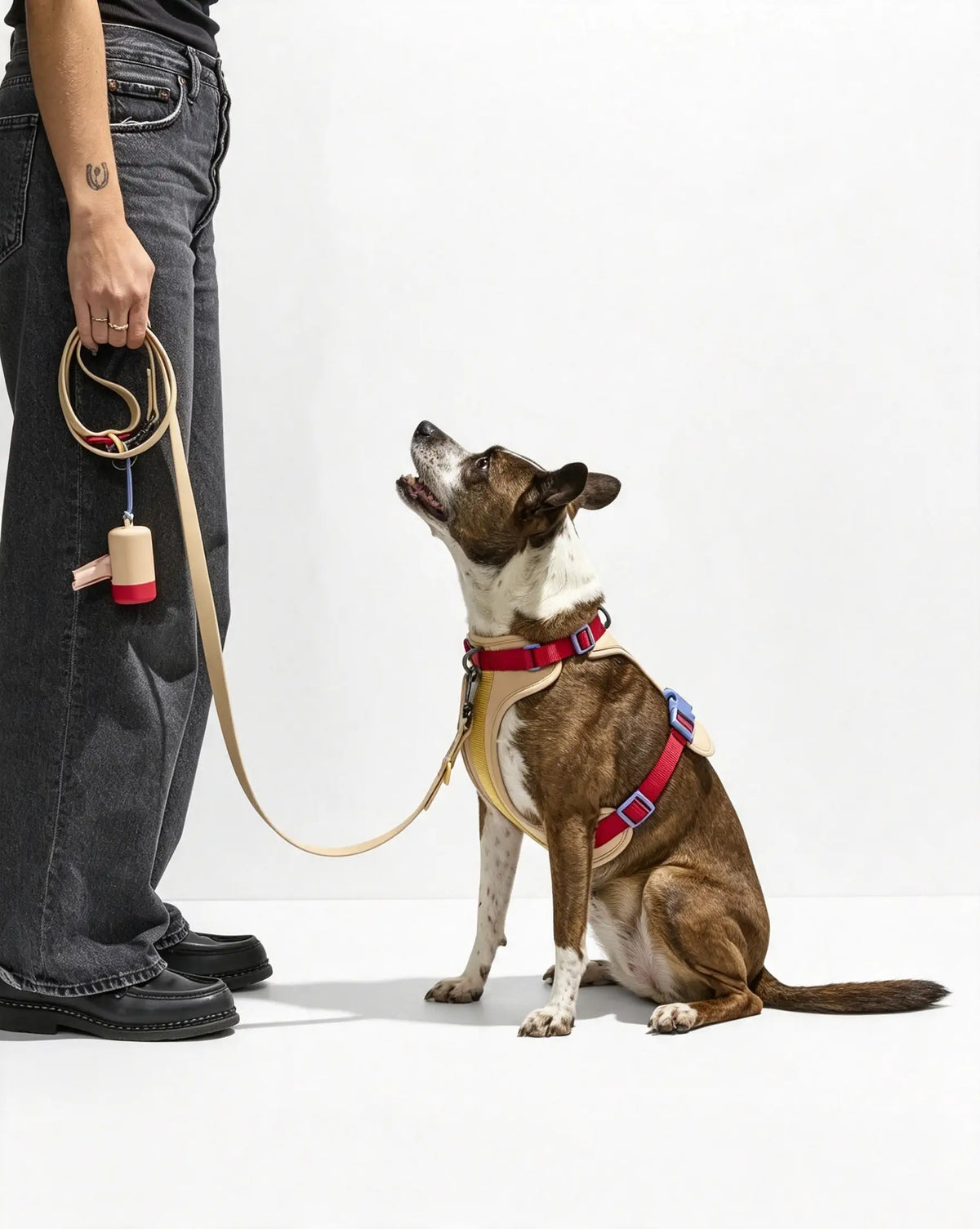 MellowTail All-Weather Everyday Leash™-Retro