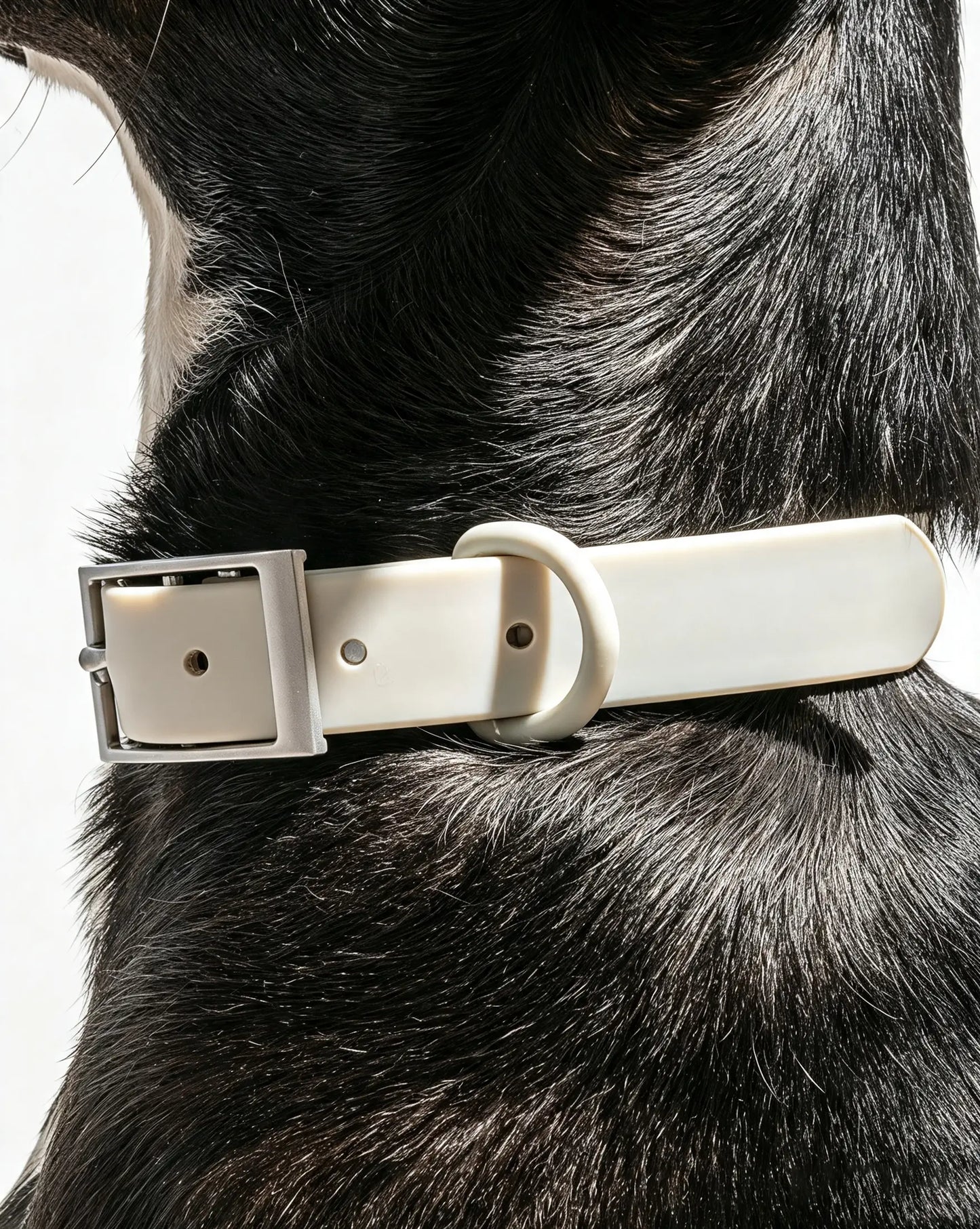 MellowTail All-Weather Everyday Collar™-Gray ✨ Limited Edition