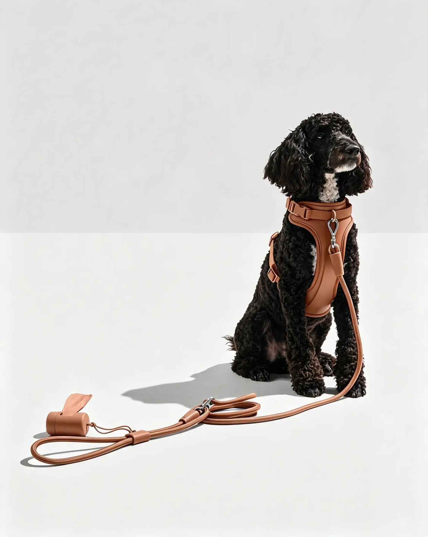 MellowTail Anywhere Rope Leash™-Cocoa