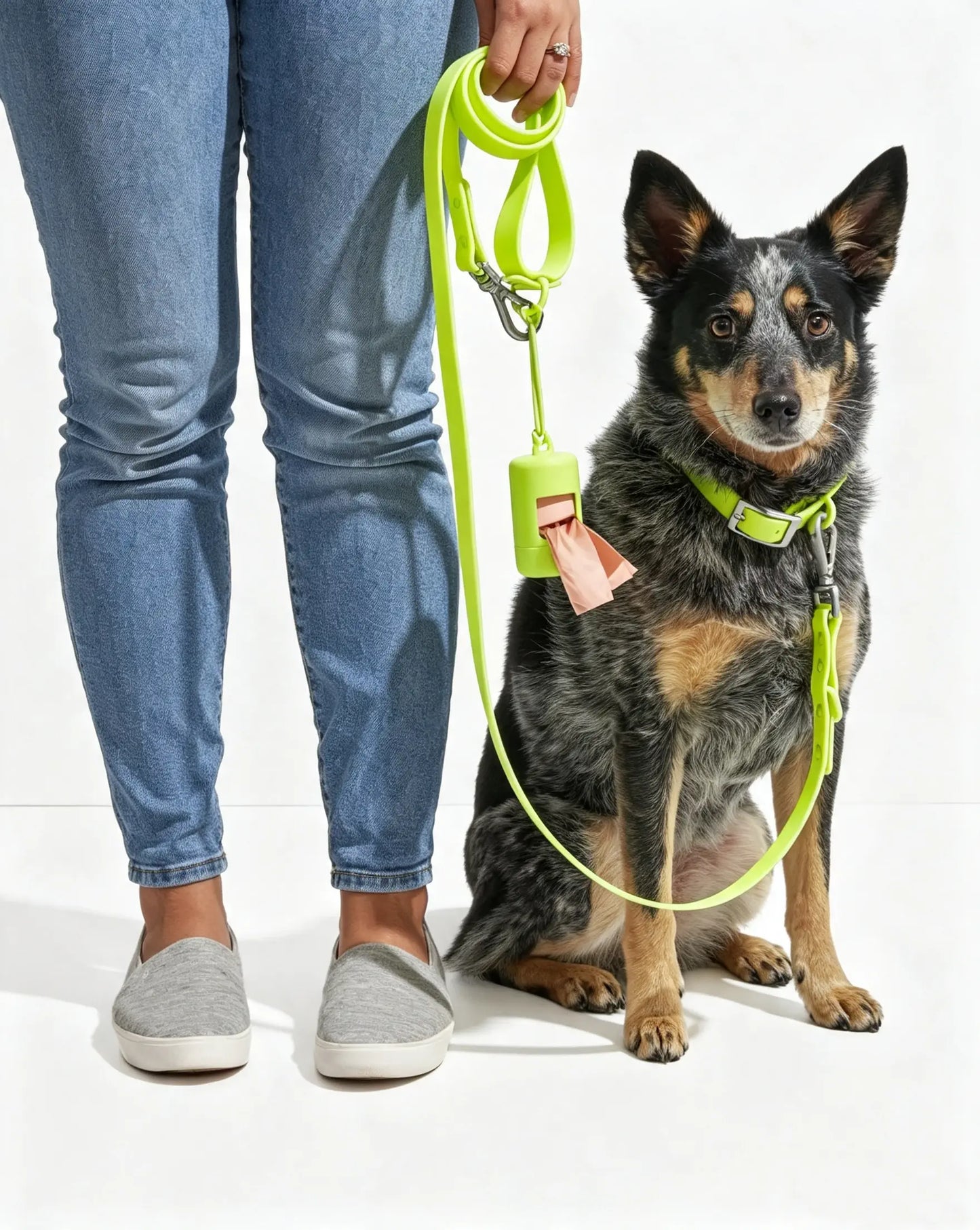 MellowTail All-Weather Everyday Collar™-Limeade ✨ Limited Edition