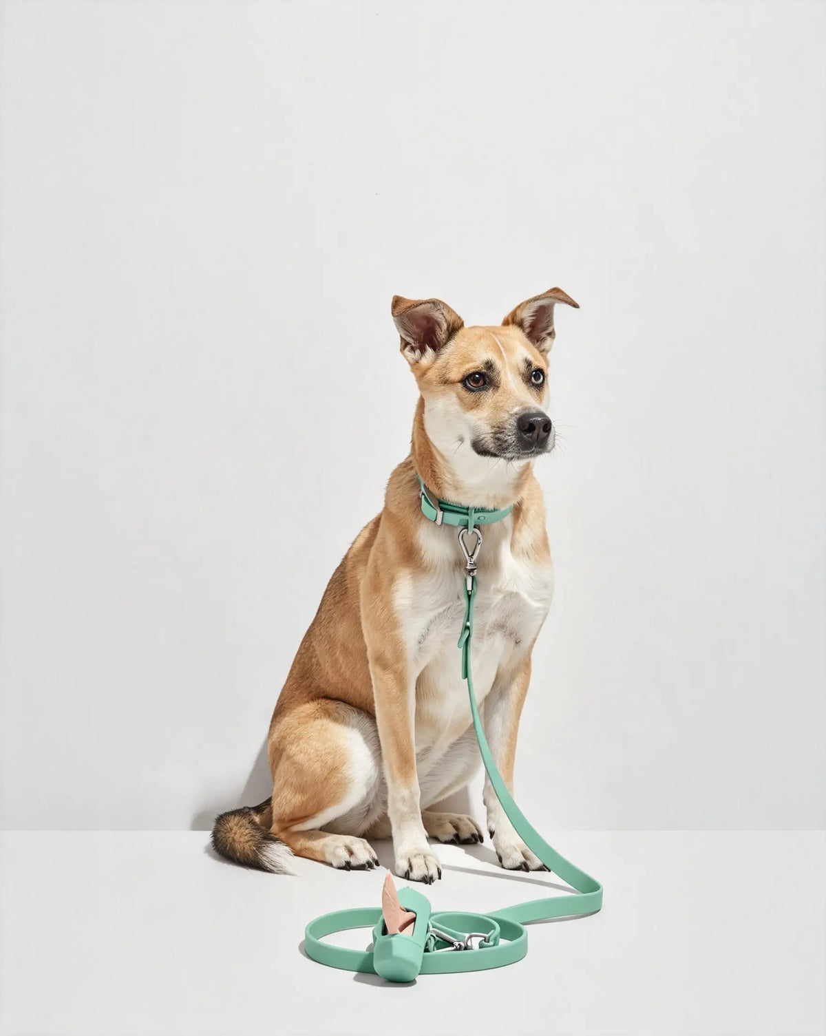 MellowTail All-Weather Everyday Collar™-Seafoam ✨ Limited Edition