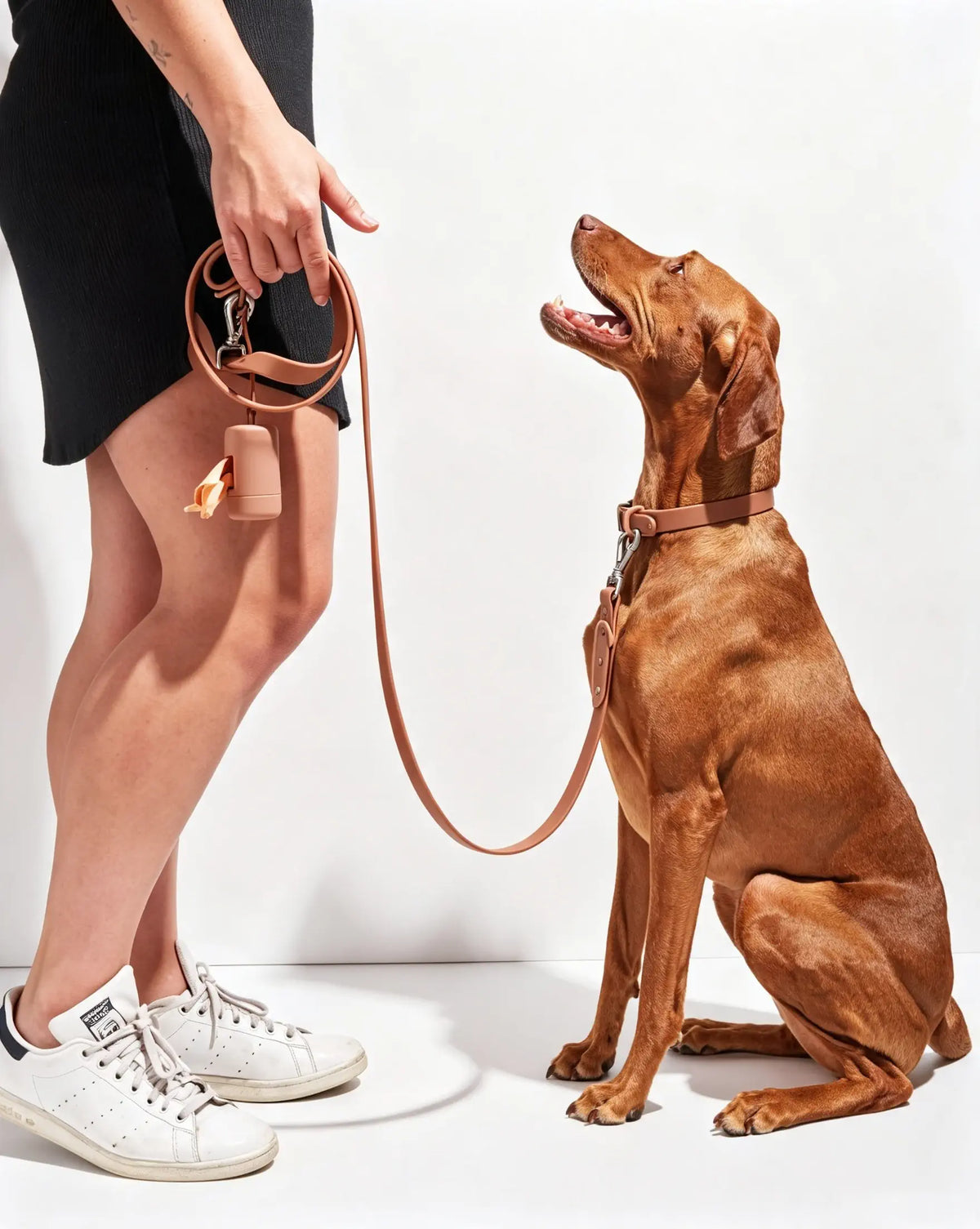 MellowTail All-Weather Everyday Collar™-Cocoa