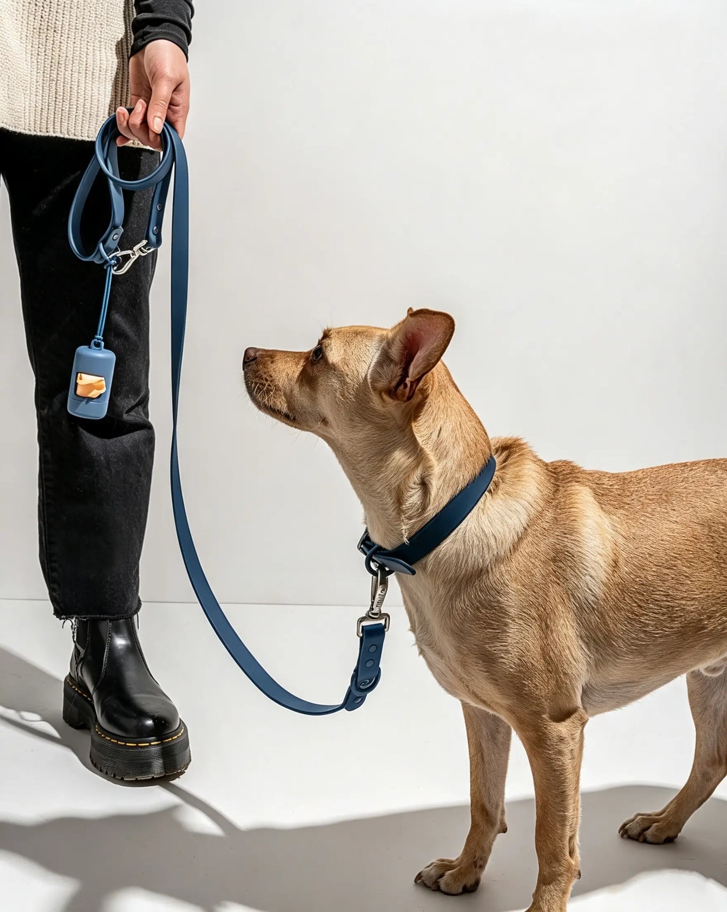 MellowTail All-Weather Everyday Collar™-Navy