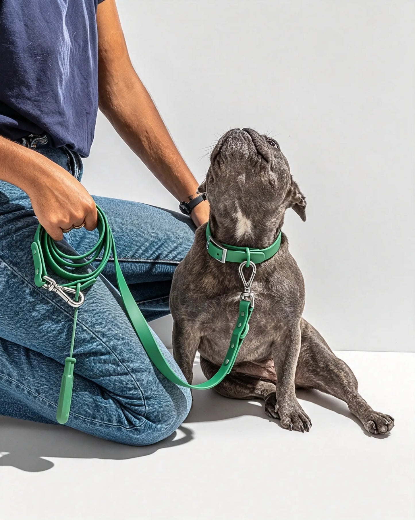 MellowTail All-Weather Everyday Collar™-Spruce