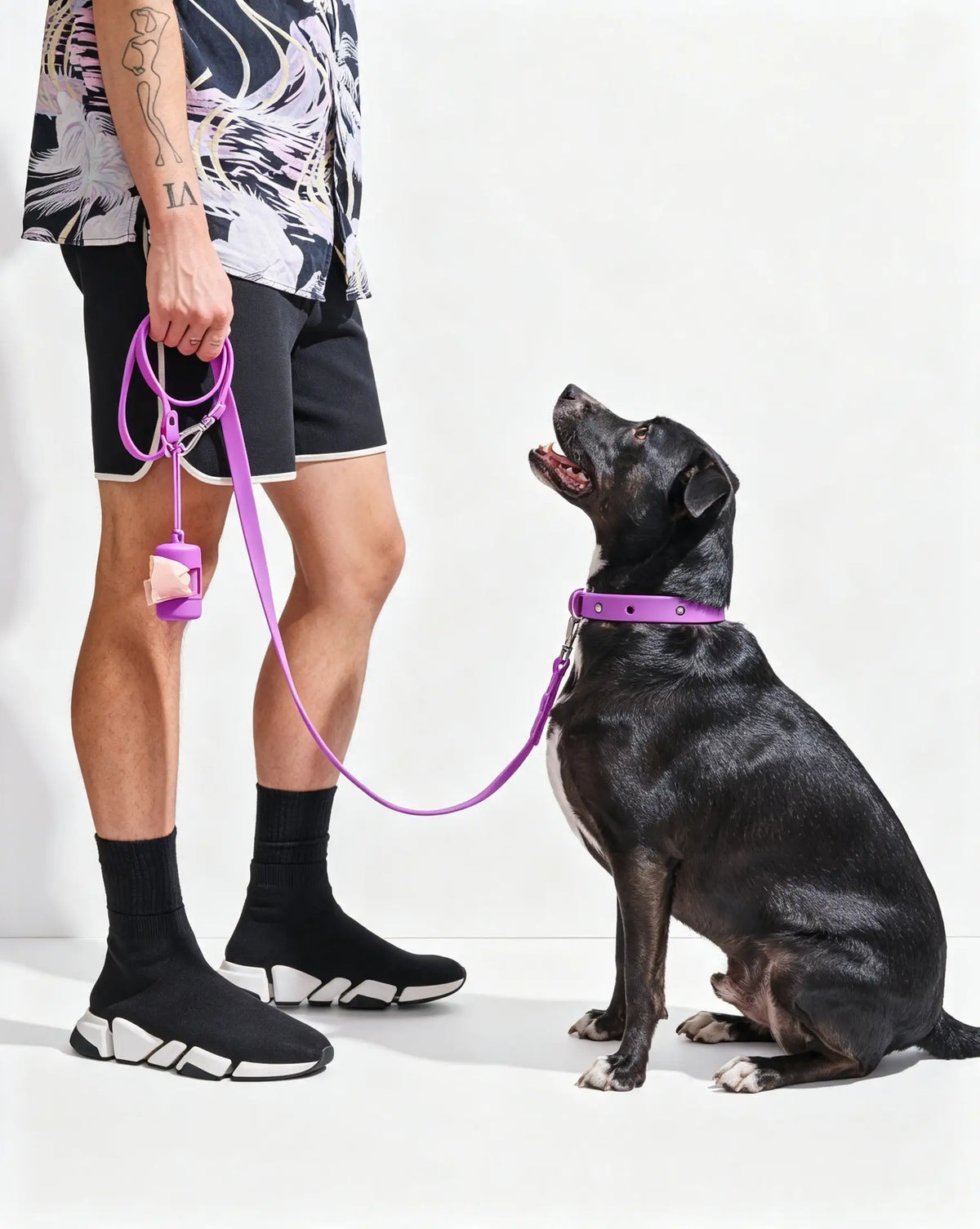 MellowTail All-Weather Everyday Collar™-Orchid