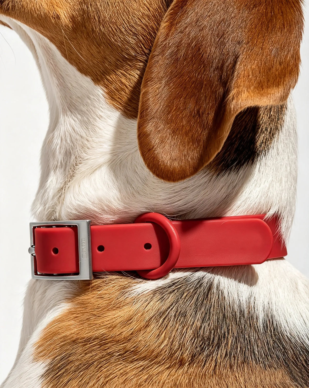 MellowTail All-Weather Everyday Collar™-Strawberry