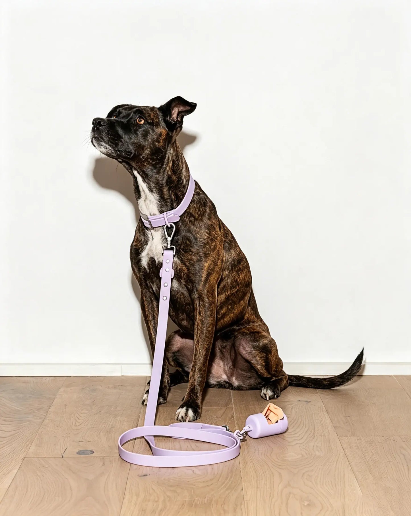 MellowTail All-Weather Everyday Leash™-Lilac