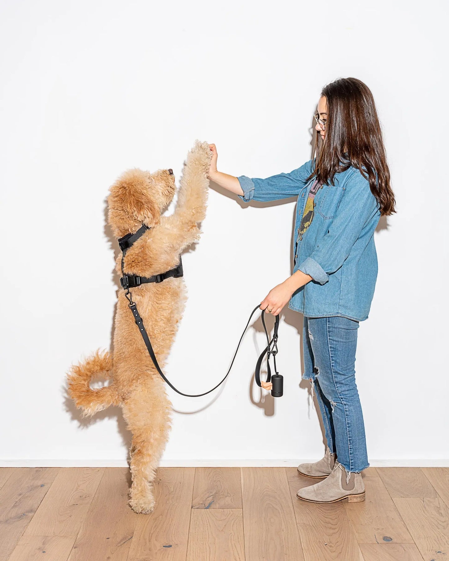 MellowTail Walk Pouch™-Black