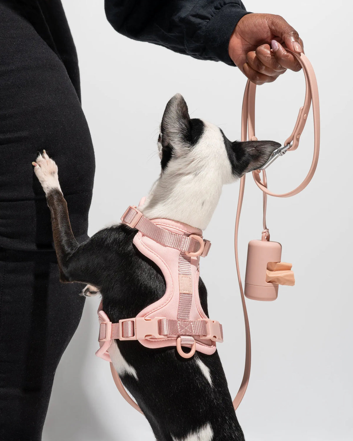 MellowTail Walk Pouch™-Blush
