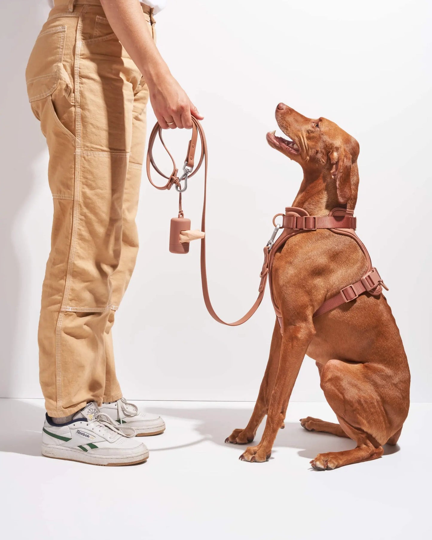MellowTail Walk Pouch™-Cocoa
