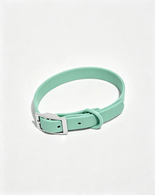 MellowTail All-Weather Everyday Collar™-Seafoam ✨ Limited Edition