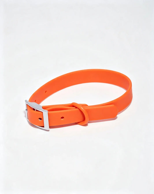 MellowTail All-Weather Everyday Collar™-Blaze ✨ Limited Edition