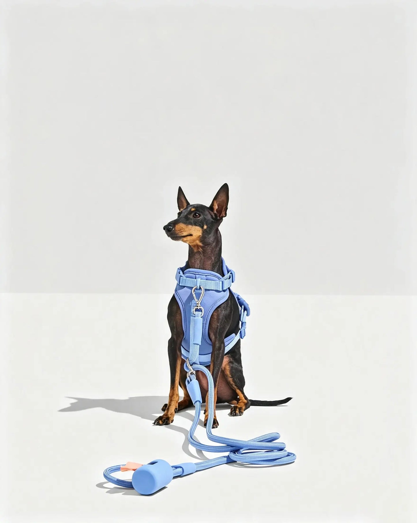 MellowTail Anywhere Rope Leash™-Moonstone